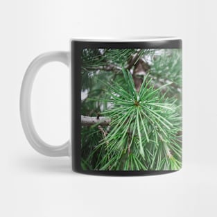 Winter Christmas Pine Tree Branch Mug